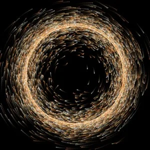 The Church of Ecstatic Embodiment