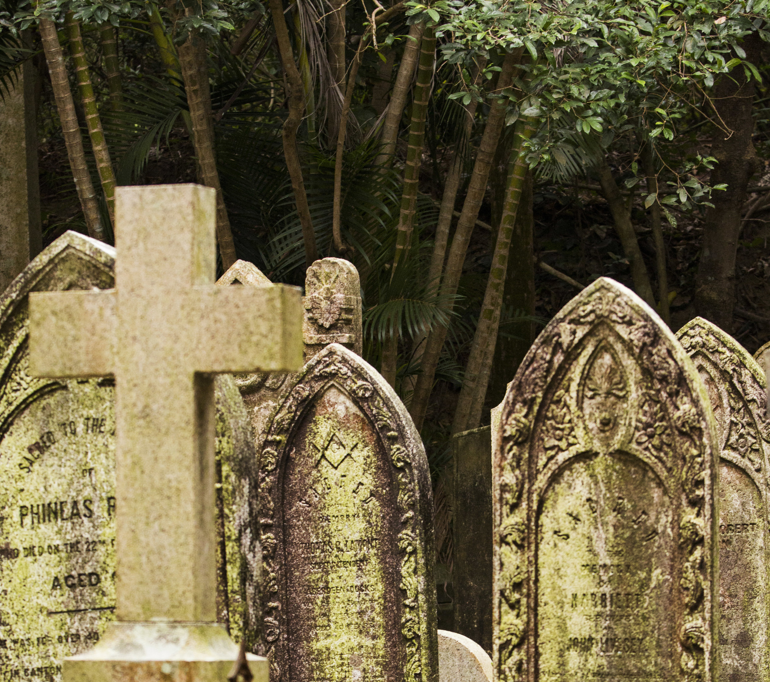 Cemetery-Home-72dpi.jpg