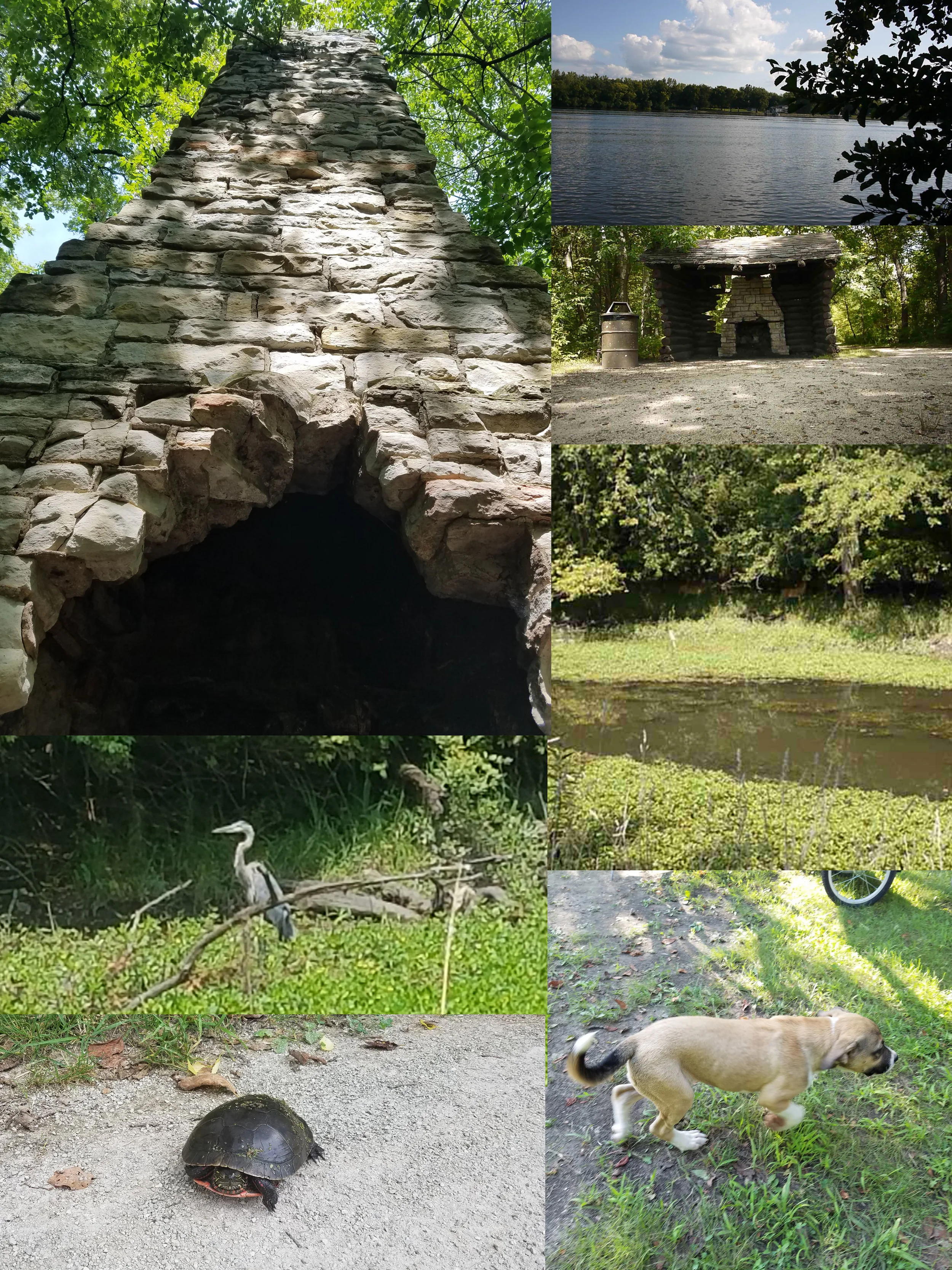 Structures at the camp area and some wild life seen during the trip, also Luna the dog