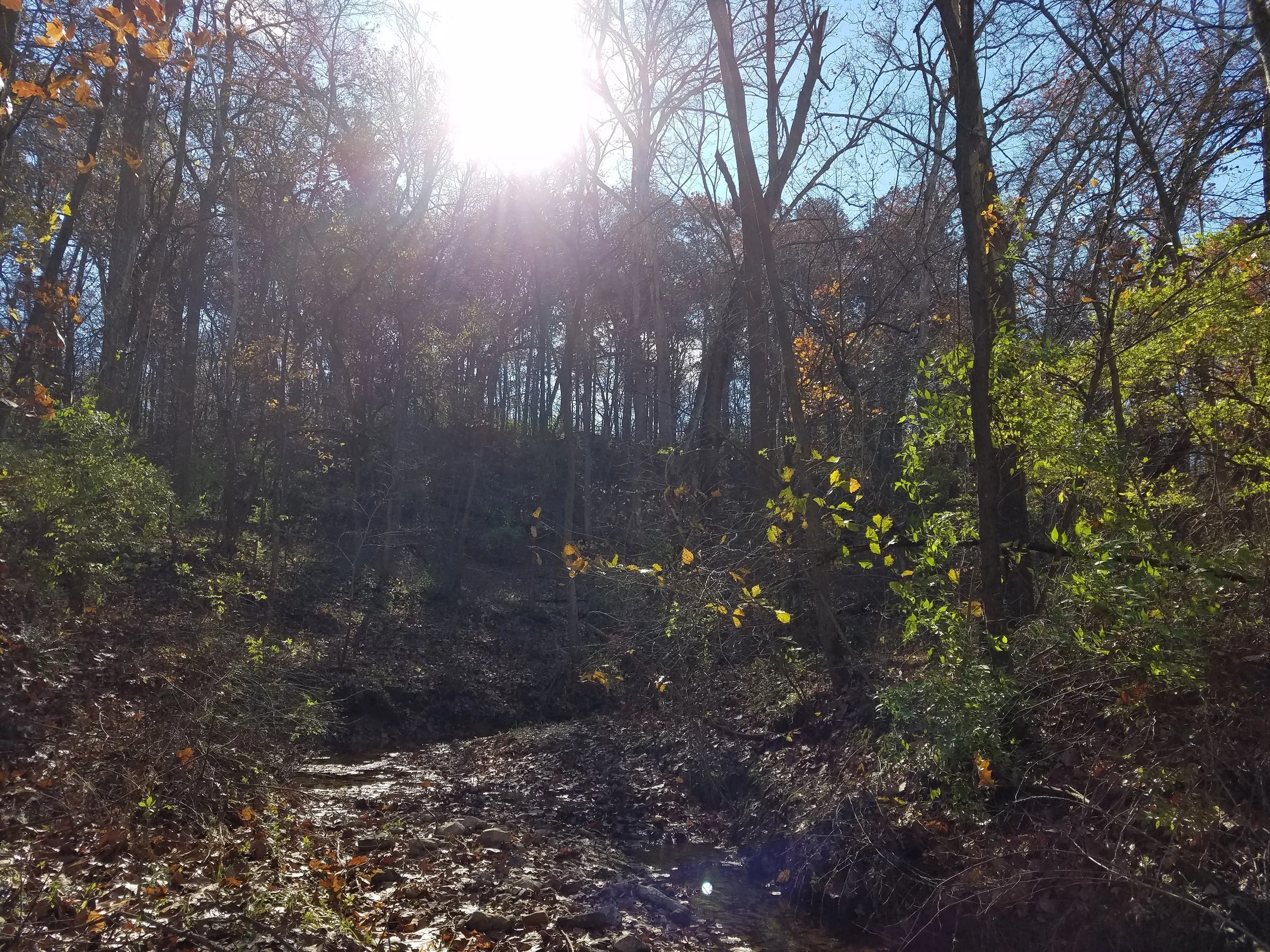 Governor’s South Trail