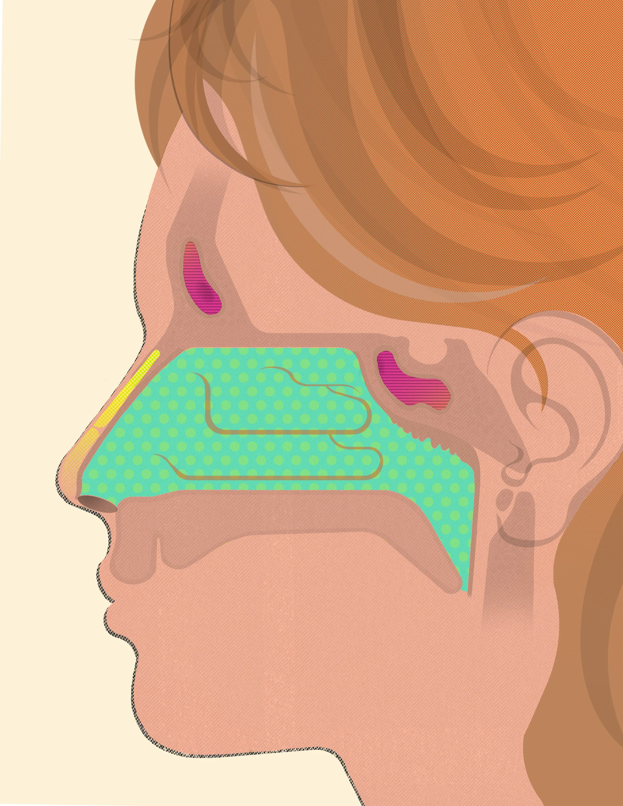 Nose-side-final.jpg