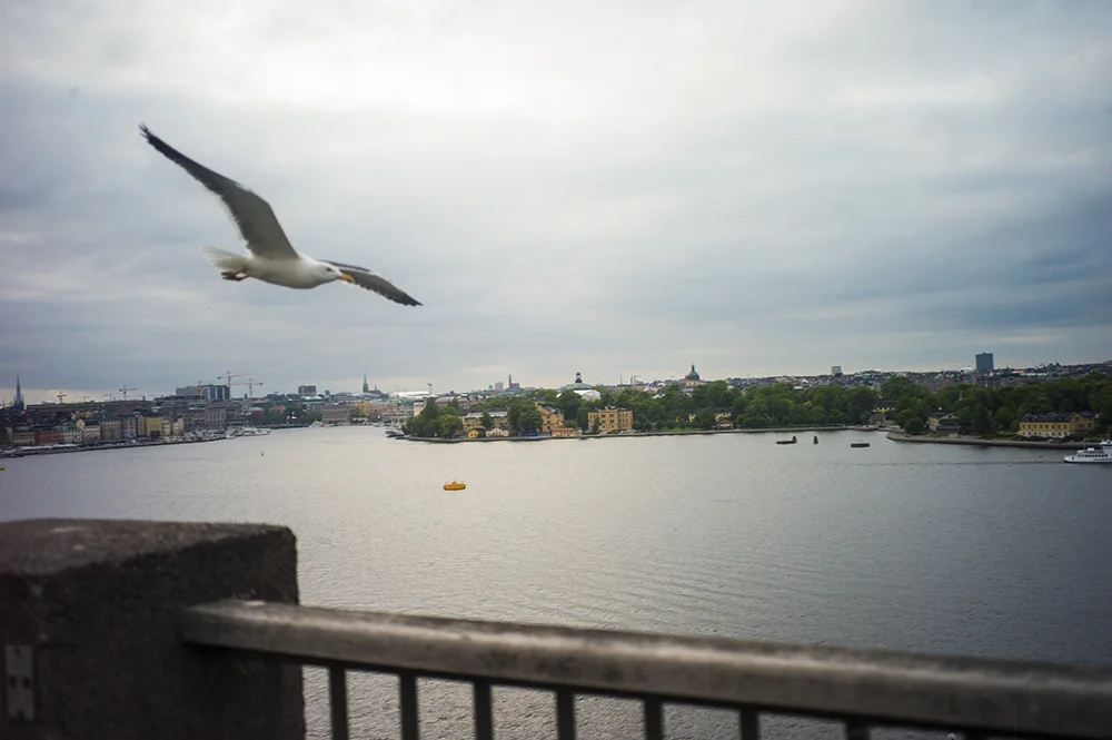 Stockholm, 2017