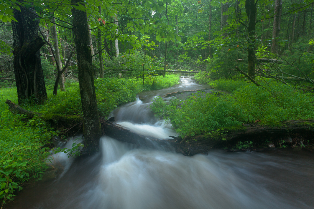"Waterlogged"
