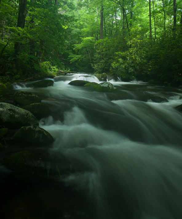 "Caught in the Flow"