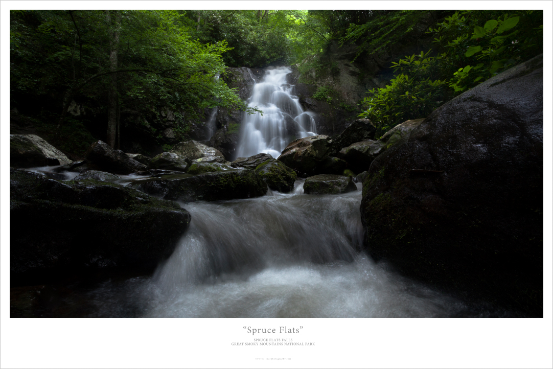 20x30 Premium Poster Print