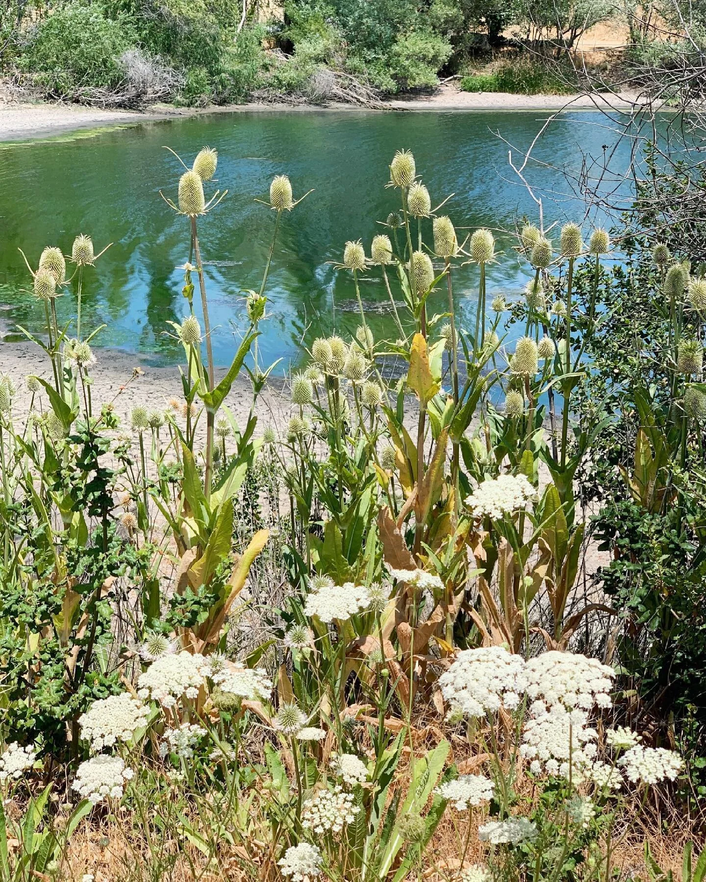 scenes from saturday