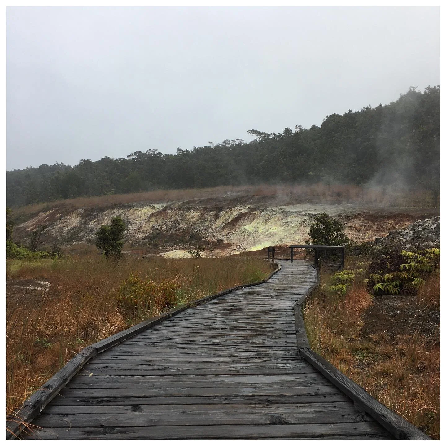 This morning&rsquo;s trail run at Hawaii Volcanoes National Park started off at the Sulfur Banks. Mark Twain once said - The smell of sulfur is strong, but not unpleasant to a sinner. 
&bull;
&bull;
&bull;
&bull;
&bull;
#bigisland #hawaiilife #kilaue