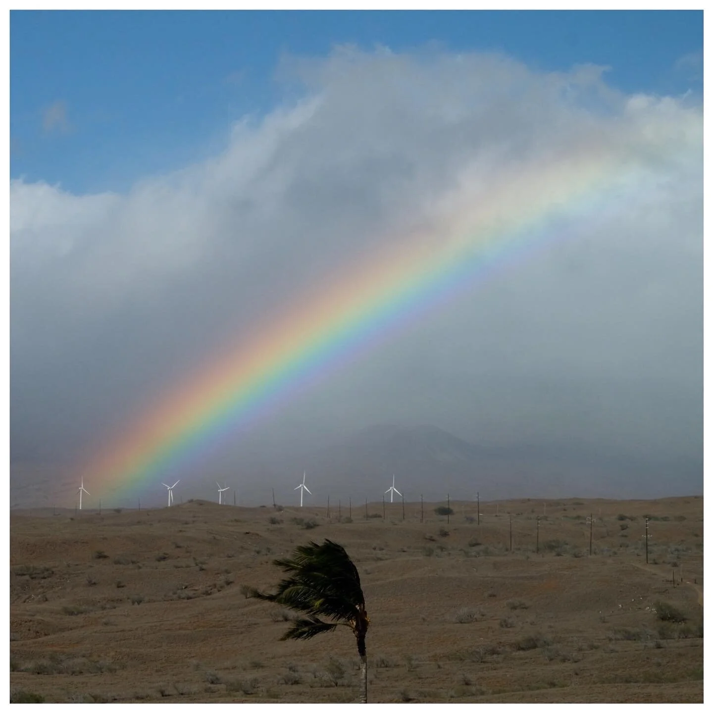 Rainbow alert 🌈 Hope you&rsquo;re still having a Merry Christmas 🎄 
&bull;
&bull;
&bull;
&bull;
&bull;
#bigisland #hawaiilife #kohala #volcano #rainbow #cloud #mountain #ranch #windmill #sustainableenergy #wind #windy #weather #ranchlife #sky #harm