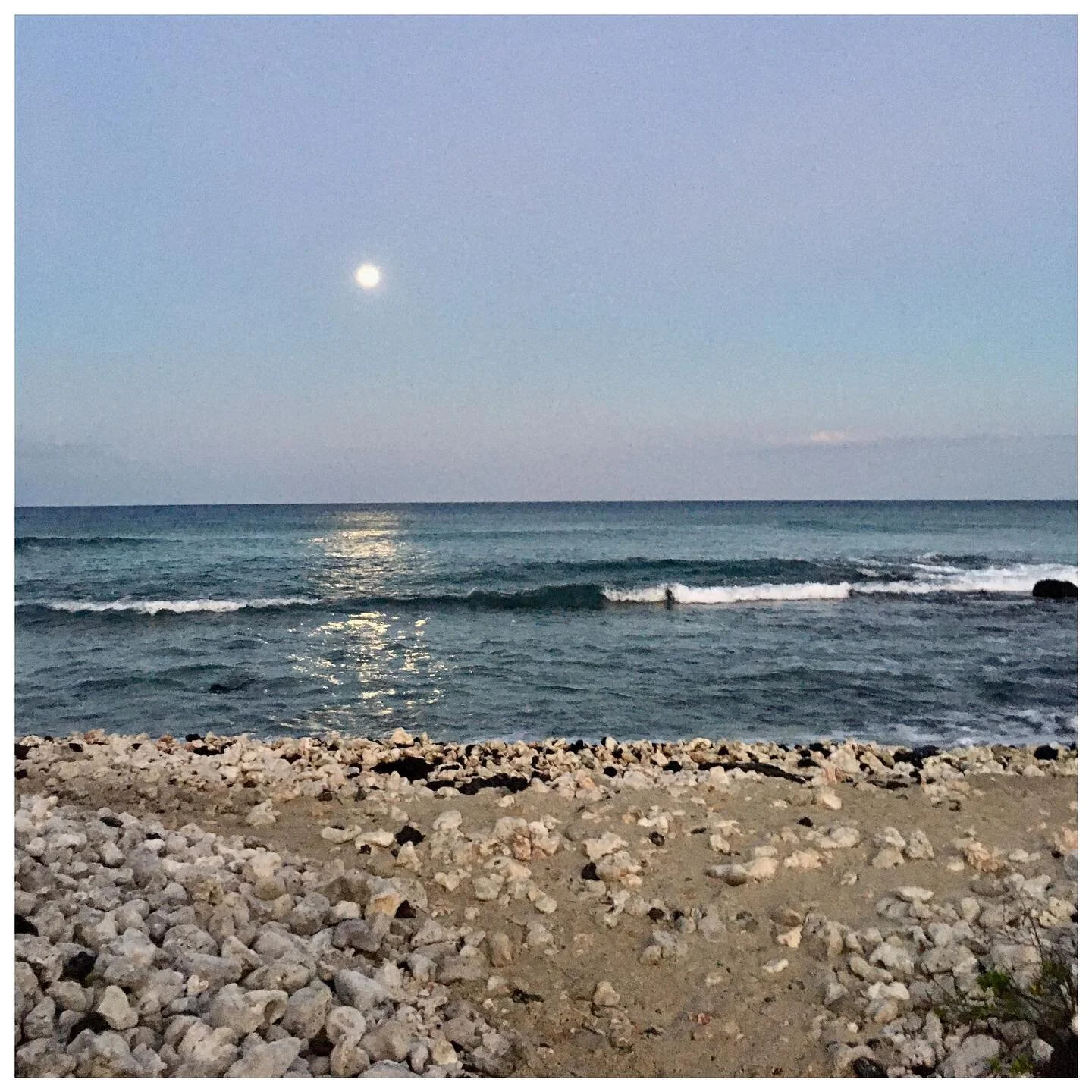 Morning moon-set run from the center of the Pacific - Planet Earth &bull;
&bull;
&bull;
&bull;
&bull;
#waikoloa #earth #bigisland #hawaiilife  #sunrise #hawaii #reflection #kohalacoast #mothernature #running #alohaarchitect #aloha #alohaaina #moon #c