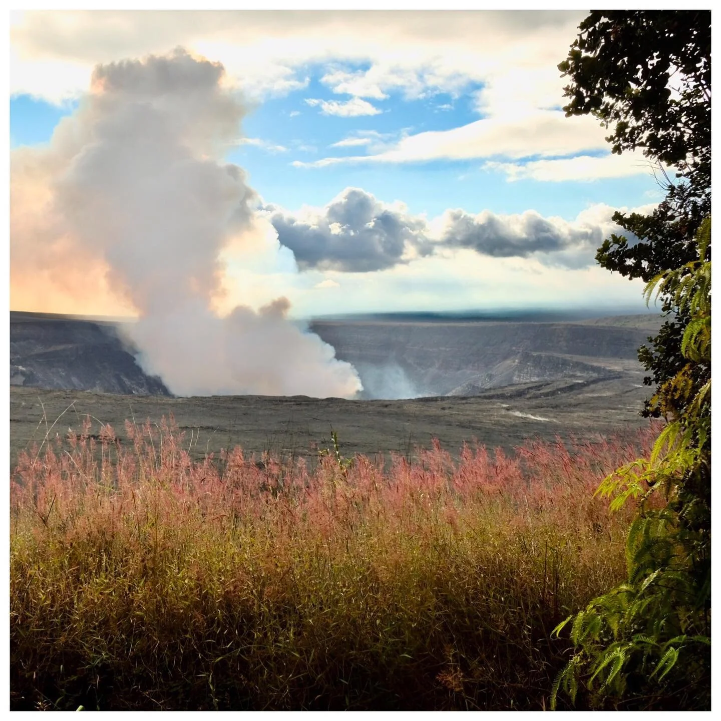Gorgeous day the park! 
&bull;
&bull;
&bull;
&bull;
&bull;
#bigisland #hawaiilife #kilauea #eruption2020 #volcano #mountain #nationalpark #clouds #sky #crater #halemaumau #craterrim #steam #activevolcano #lava