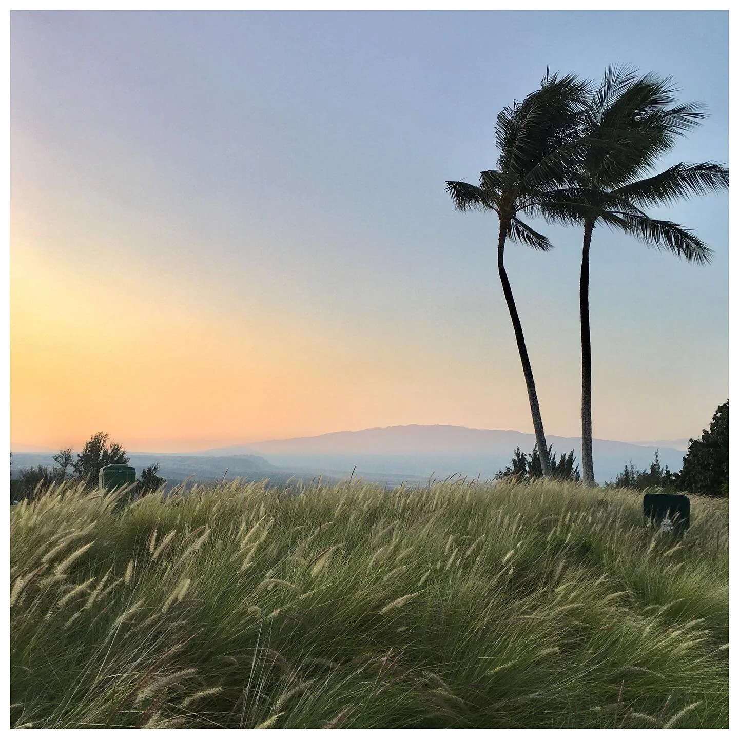 Good morning and Merry Christmas - Sending love from Hawai&rsquo;i the center of the Pacific Ocean 
&bull;
&bull;
&bull;
&bull;
&bull;
#hawaii #hawaiilife #waikoloa #maunakea #islandlife #volcano #mountain #lava #running #run #runnersofinstagram #mor