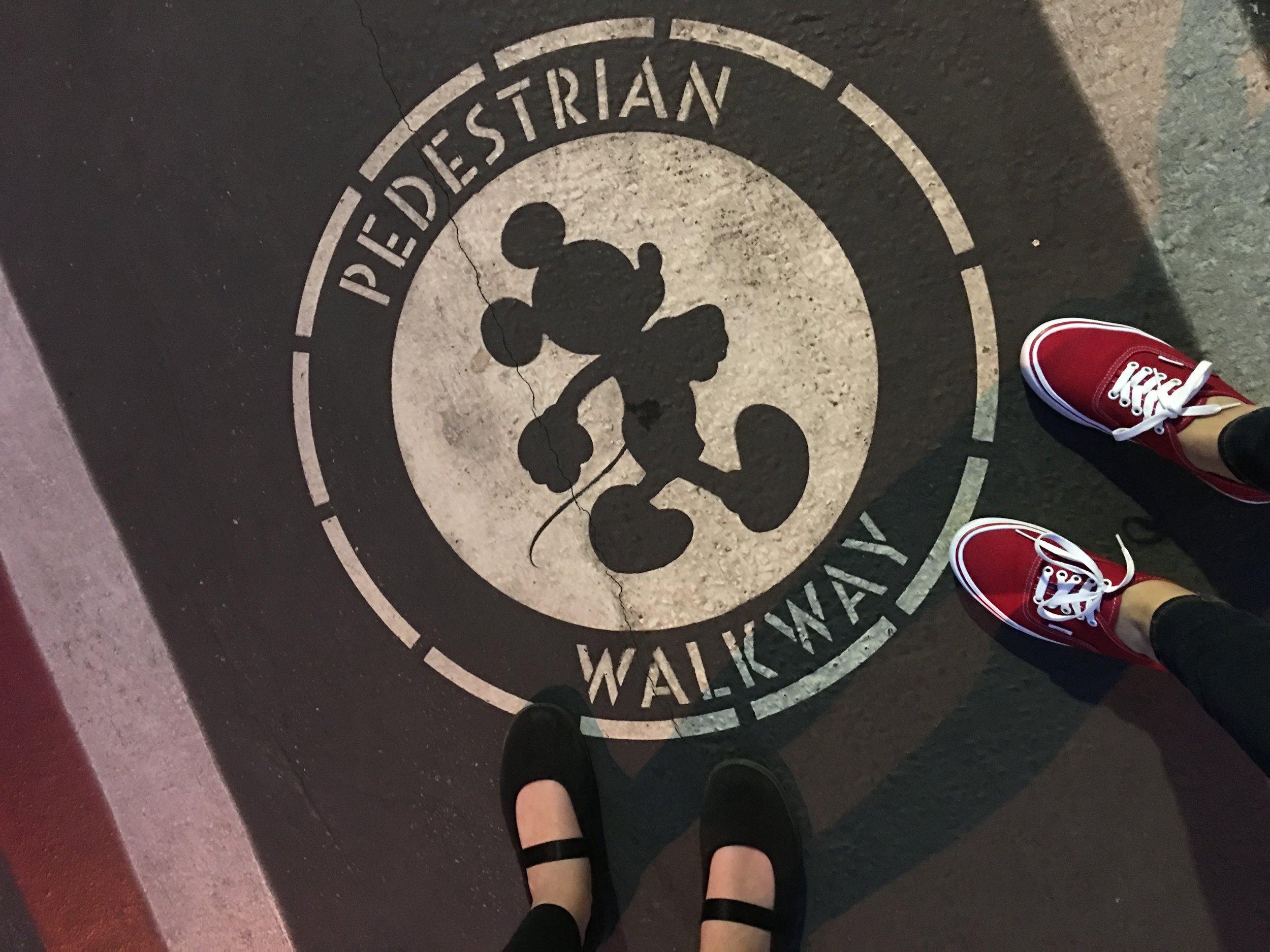 D23: Light Up The Season