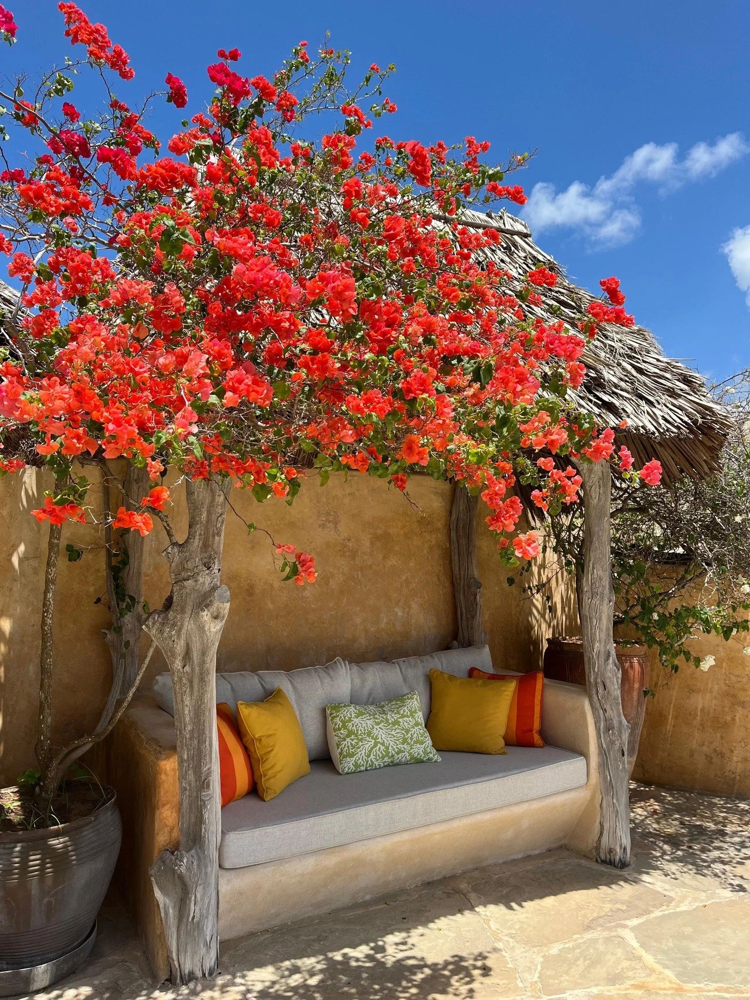 Your seat under the bougainvillea is waiting&hellip;

#MandaBay #BarefootLuxury #IslandLife #EscapeToMandaBay
