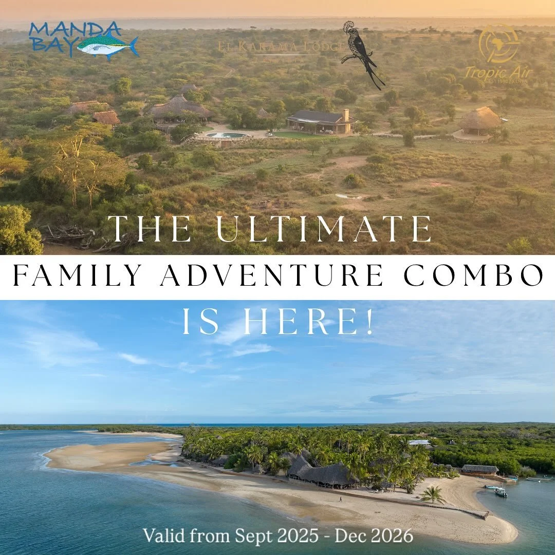 The Ultimate Family Adventure Combo is here! 

Two magical destinations. Twice the adventure. A journey that blends the wild beauty of @elkaramalodge with the barefoot paradise of @mandabay_lodge. 

Imagine mornings spotting lion tracks at El Karama 