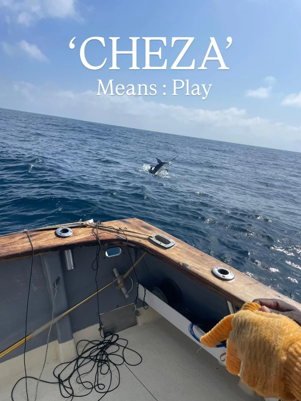 Another successful day out with fishing legend @andymajerus on our boat CHEZA.