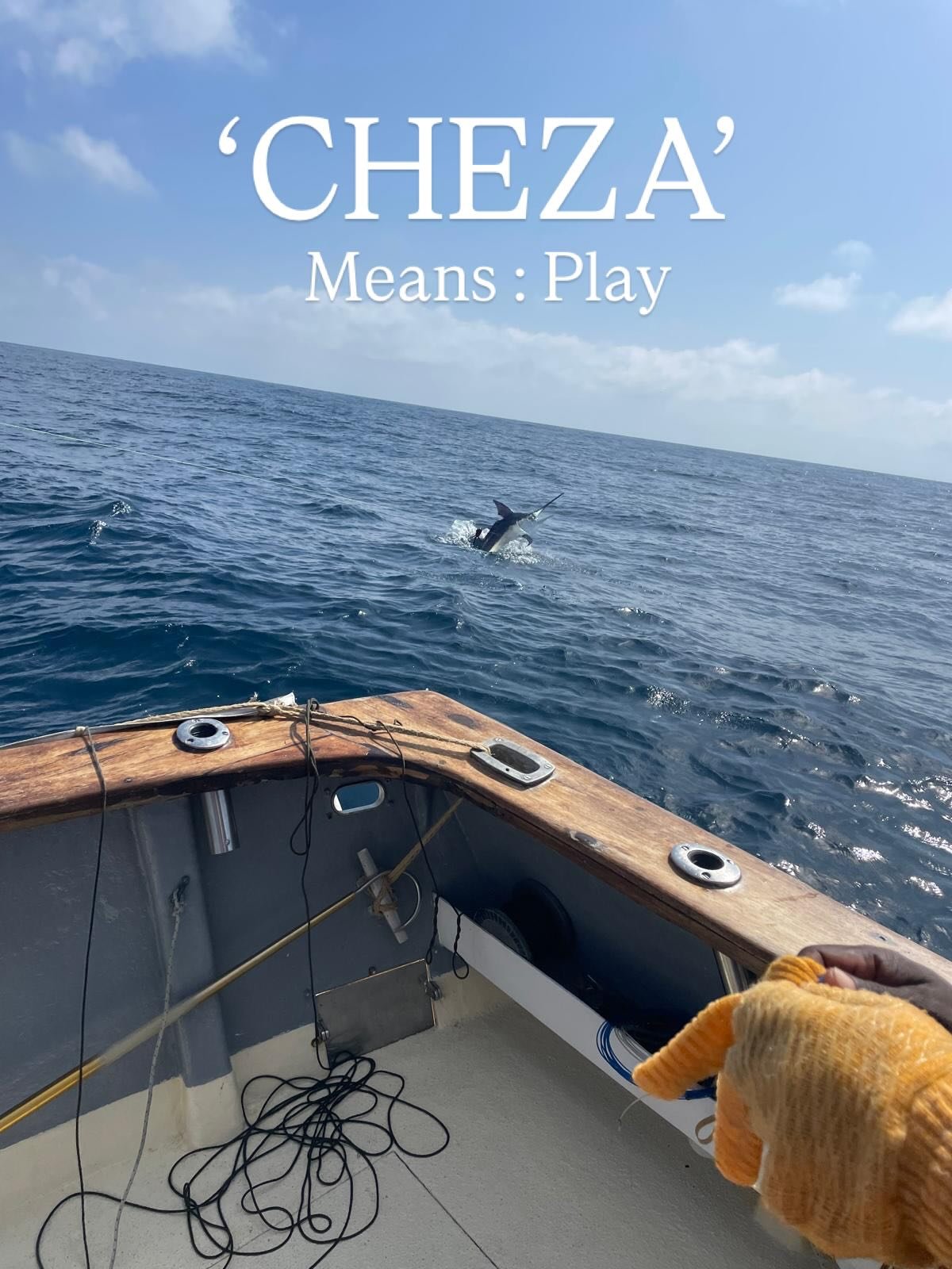 Another successful day out with fishing legend @andymajerus on our boat CHEZA.