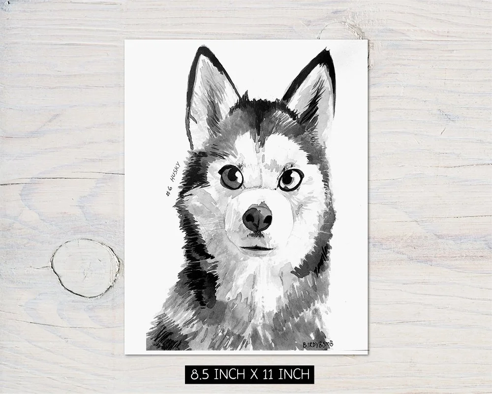 Husky pv.jpg