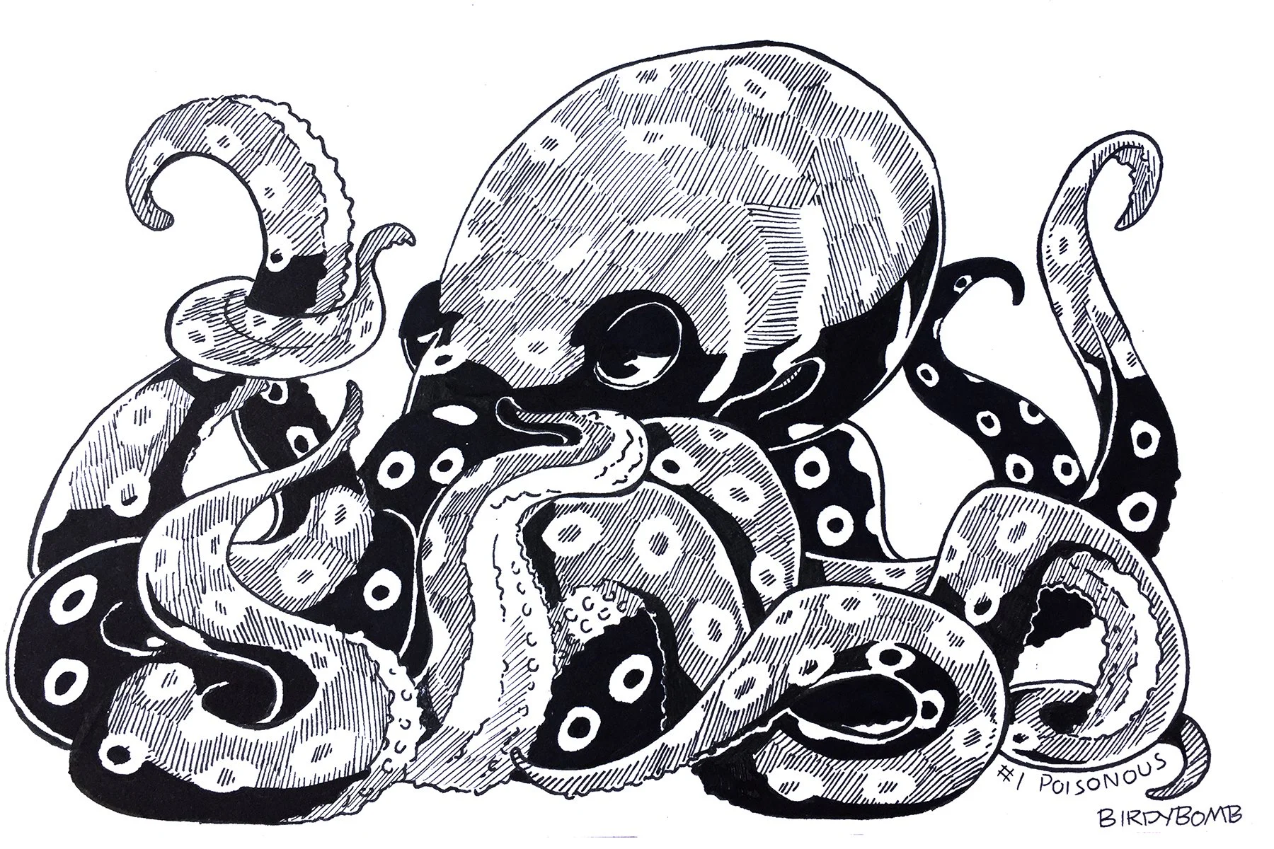 1 poisonous print Q4.jpg