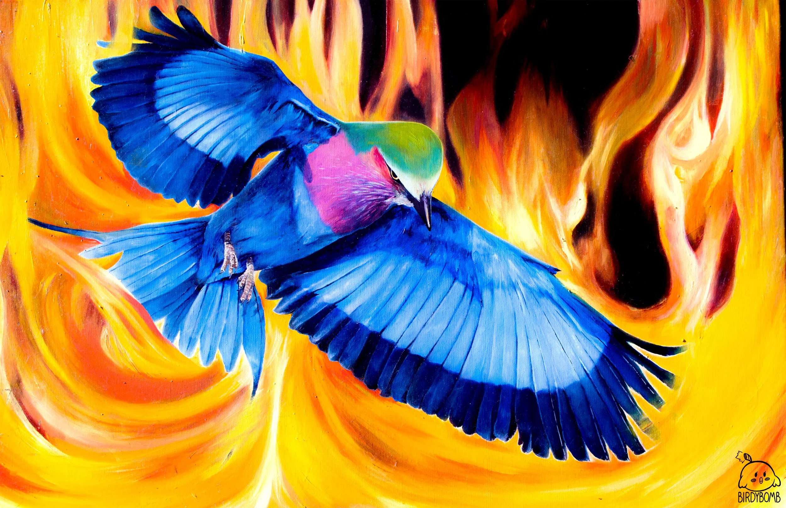 Pheonix 11x17.jpg