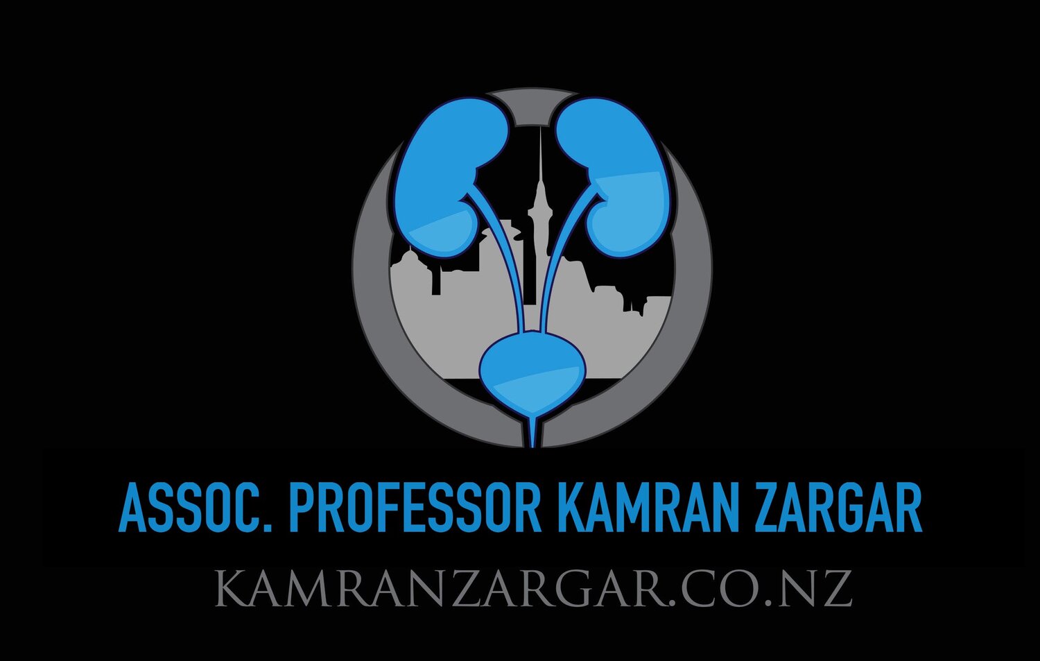 Assoc. Professor Kamran Zargar