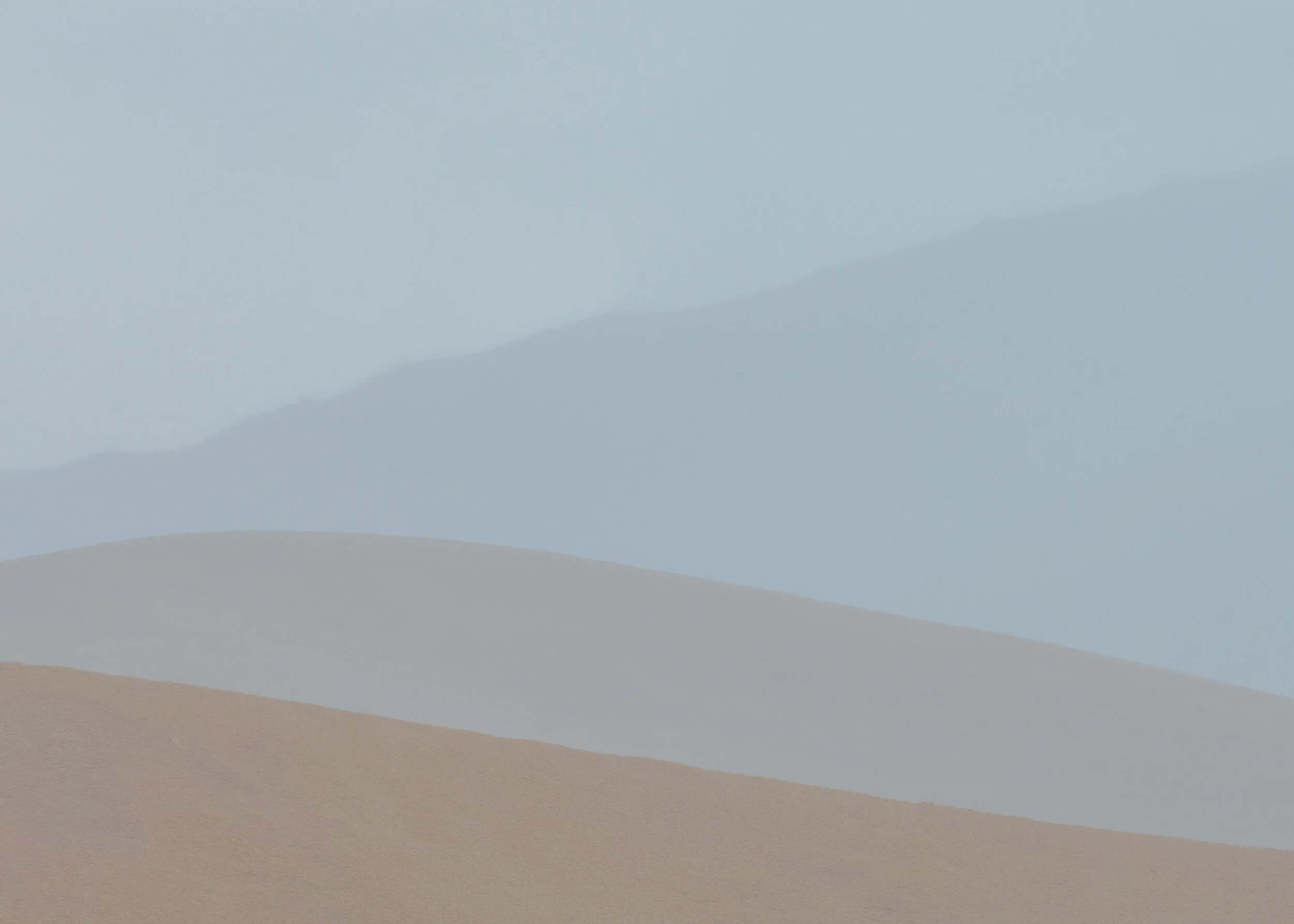 _DSC9654.jpg