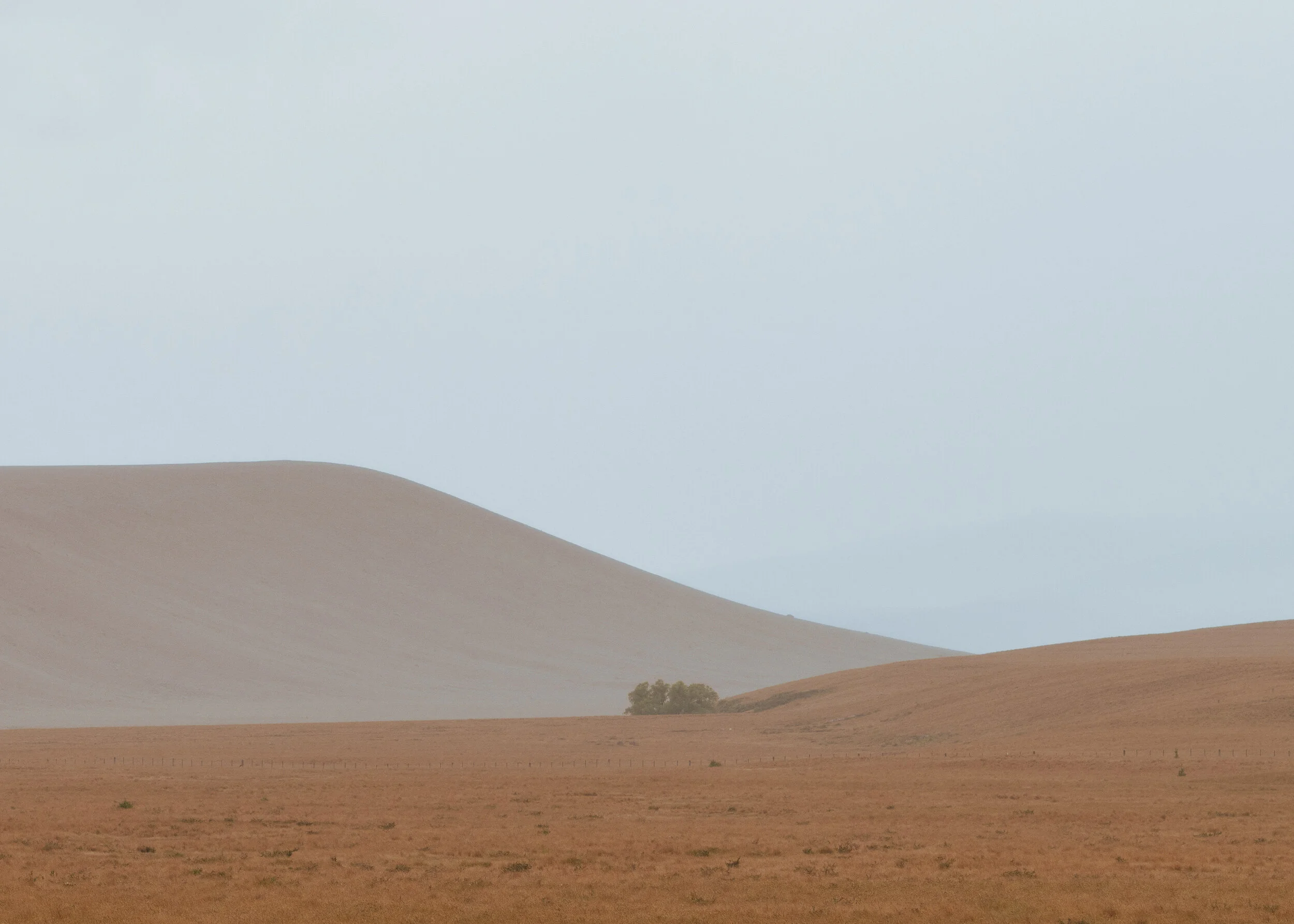 _DSC9747.jpg