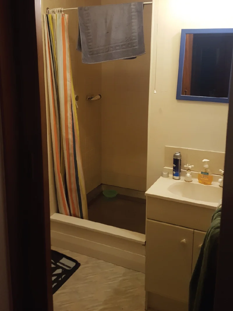 Bathroom renovation Mt Eden