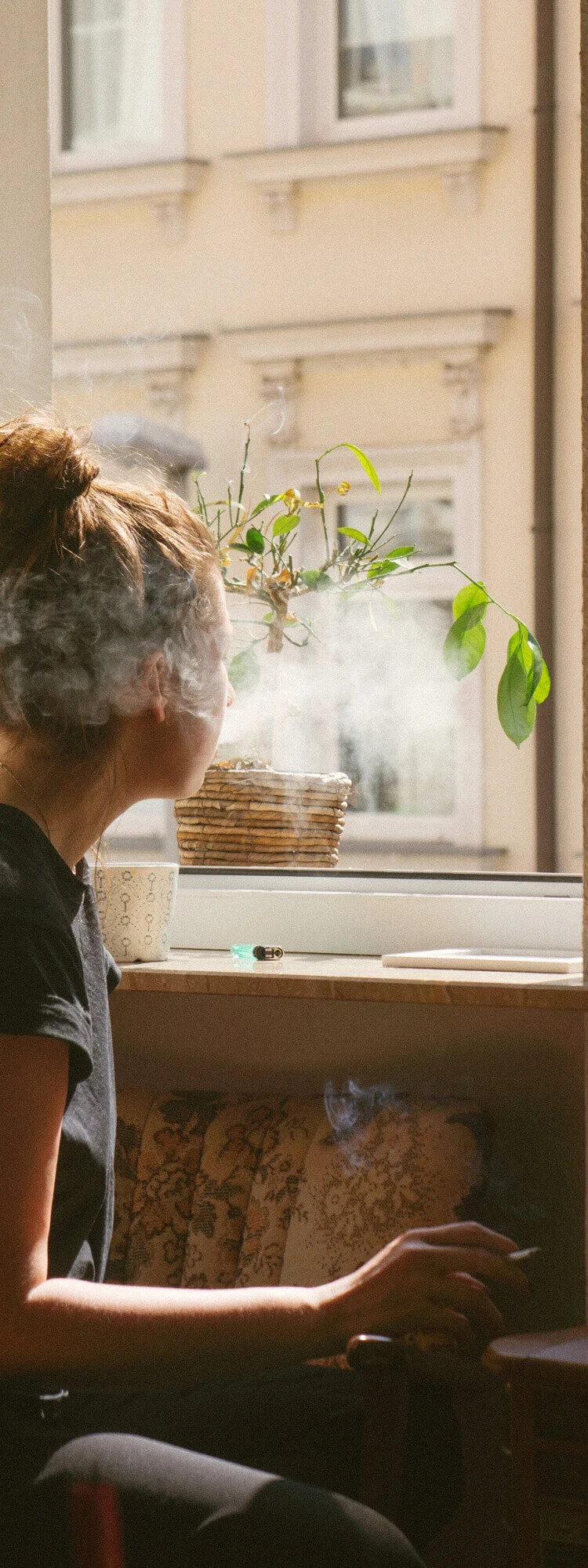 EBT-addiction-750x2000px.jpg