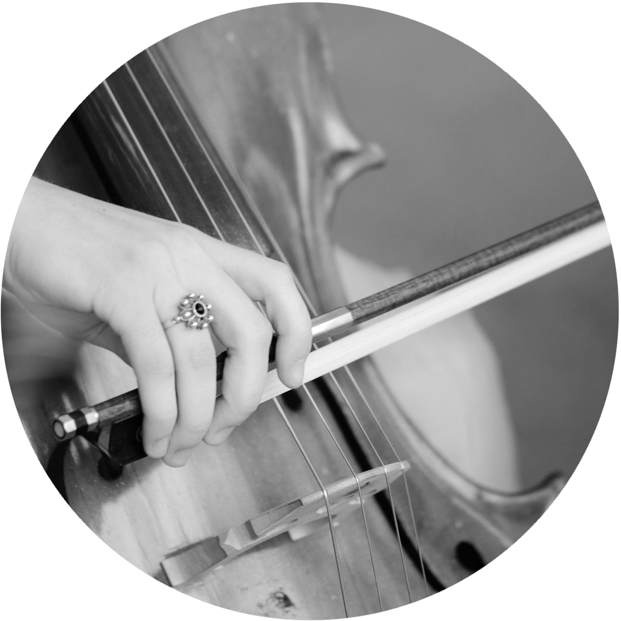Melody Collection.jpg