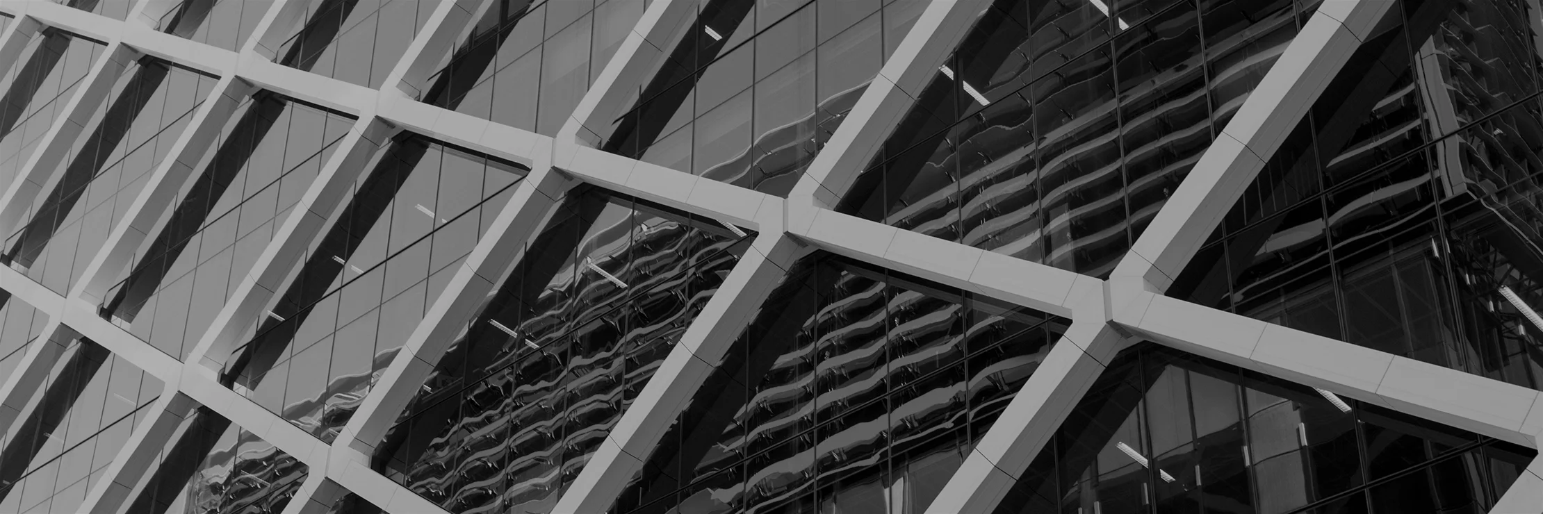 Banner About.jpg