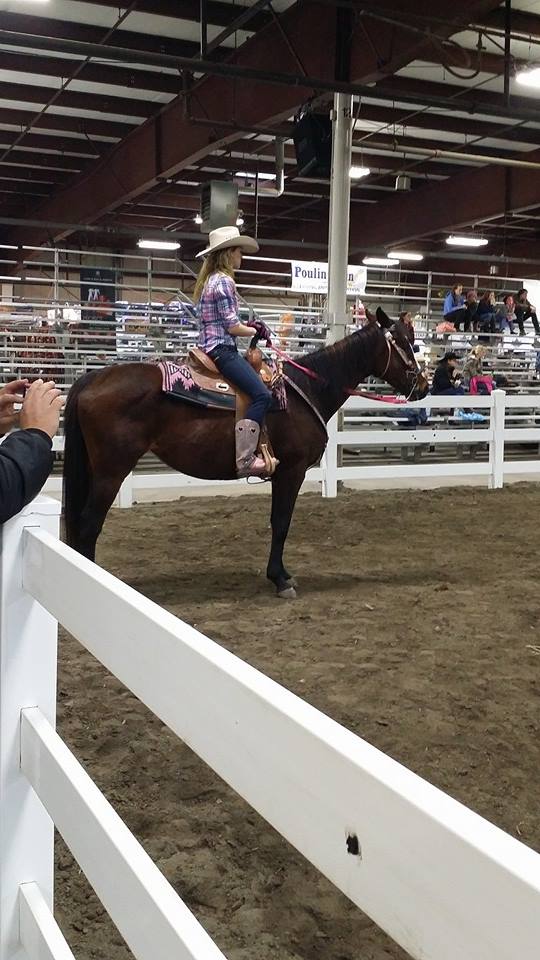 equine affaire, MA. pole bending clinic