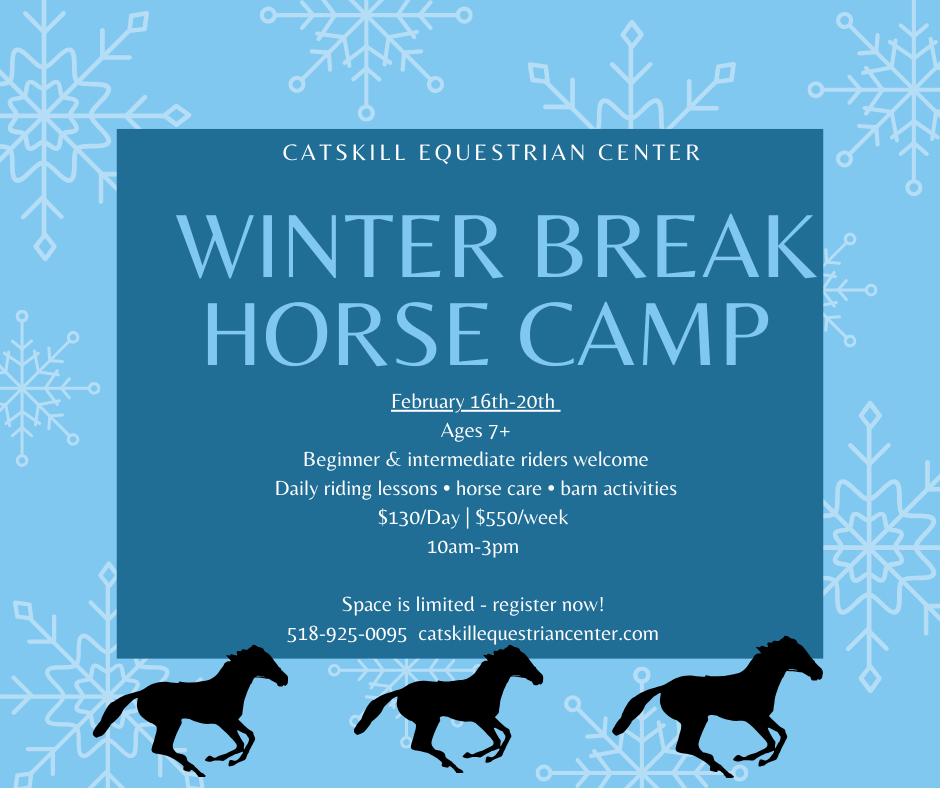 Winter Break Camp