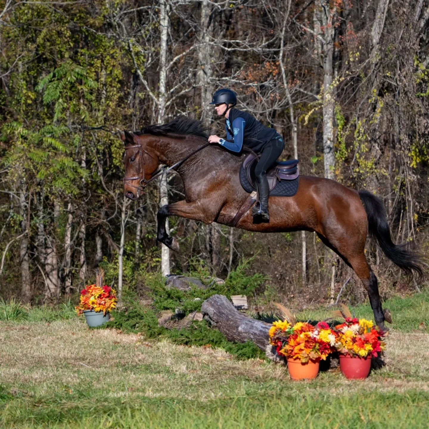 hunter paces in Hudson valley