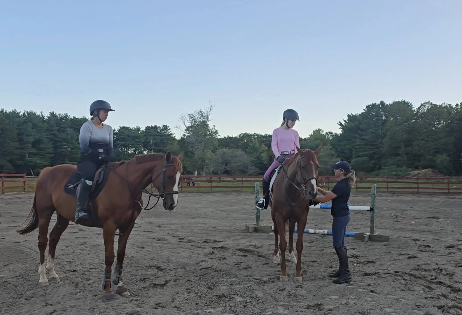 English riding lesson