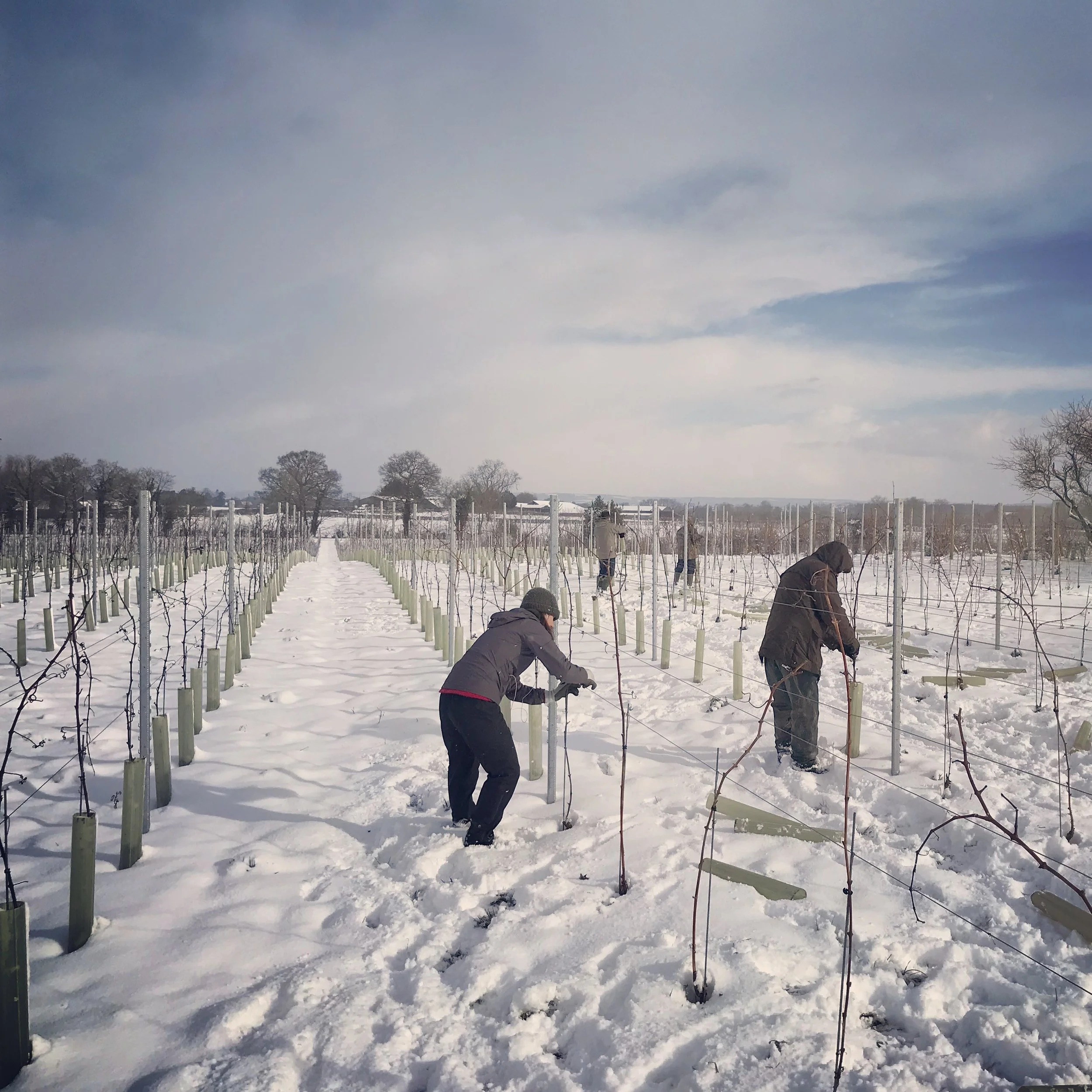 Winter at Dunesforde