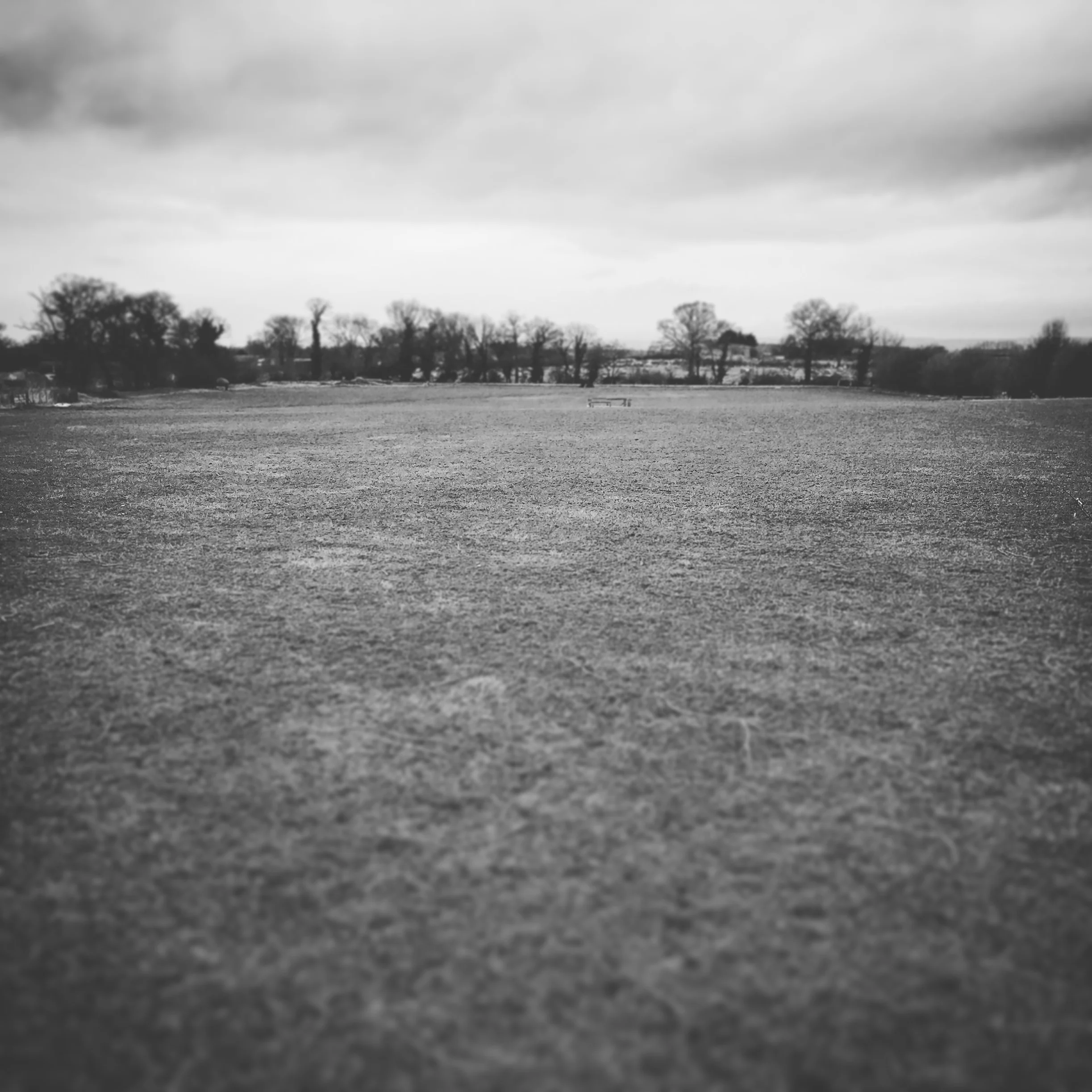 The site when we bought it