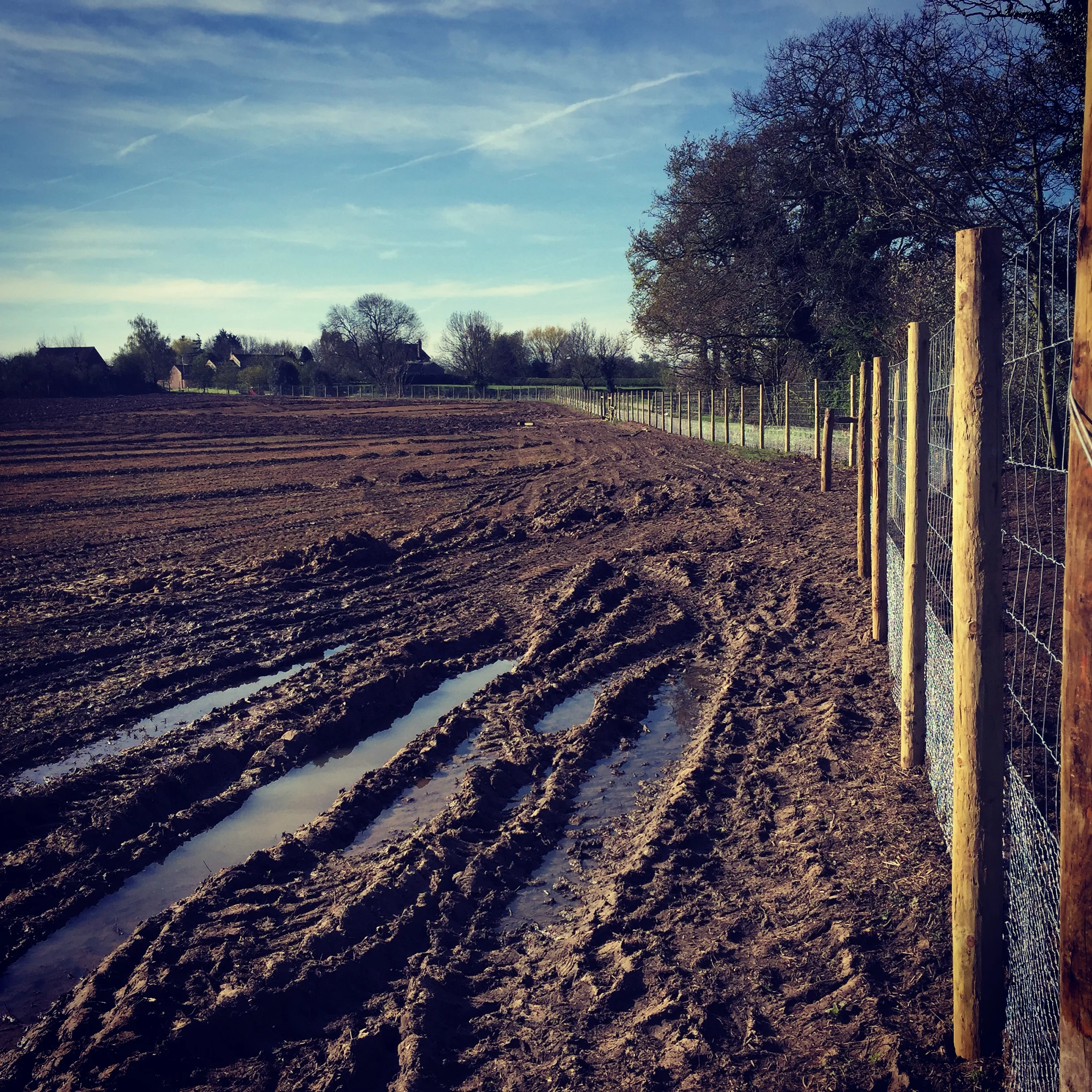 Installing drains