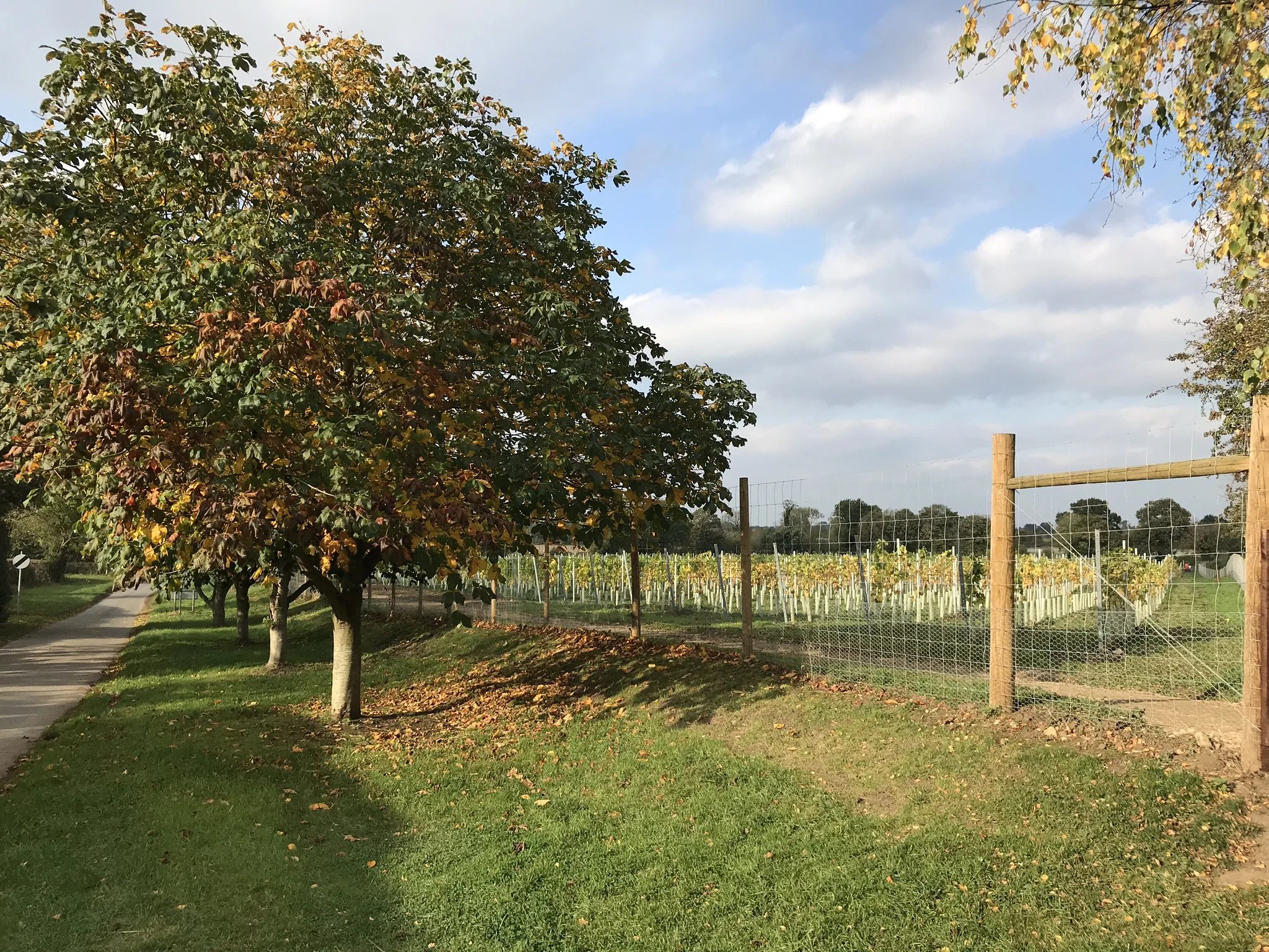 Getting ready for 2018