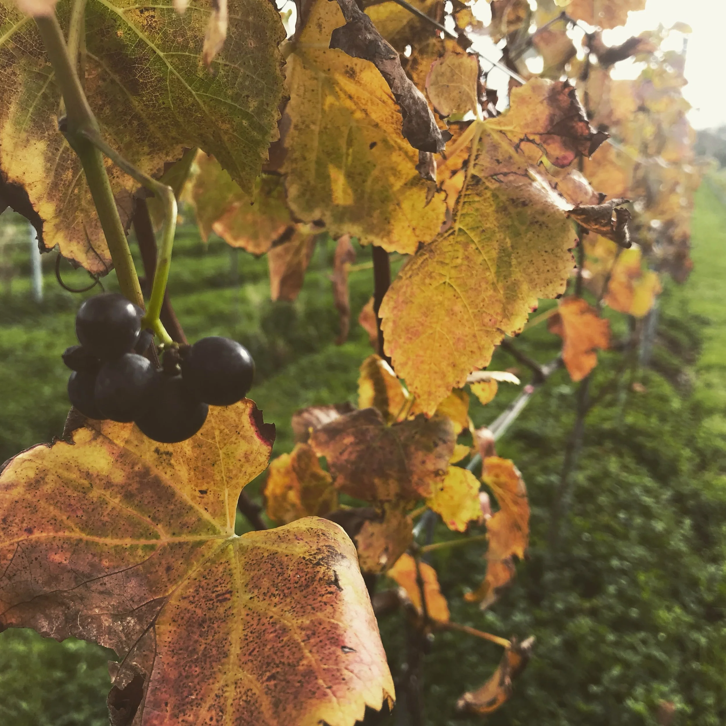 The Calm After the Storm