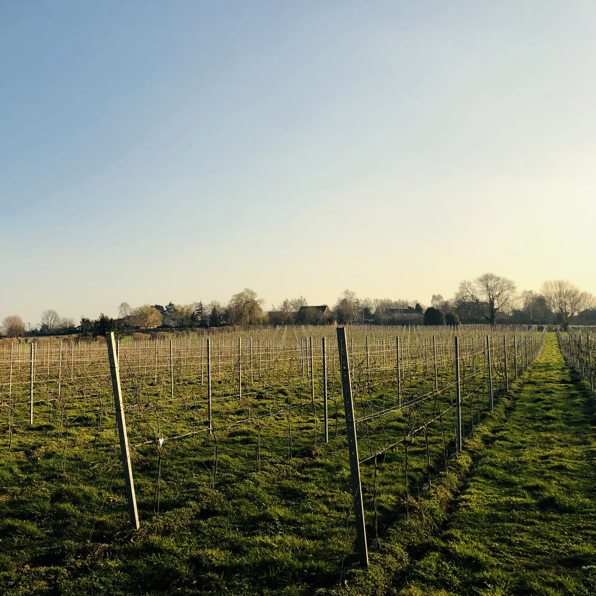 A record-breaking February