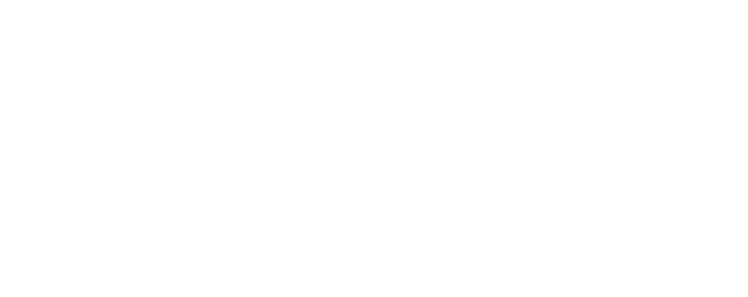 schewel white logo.png