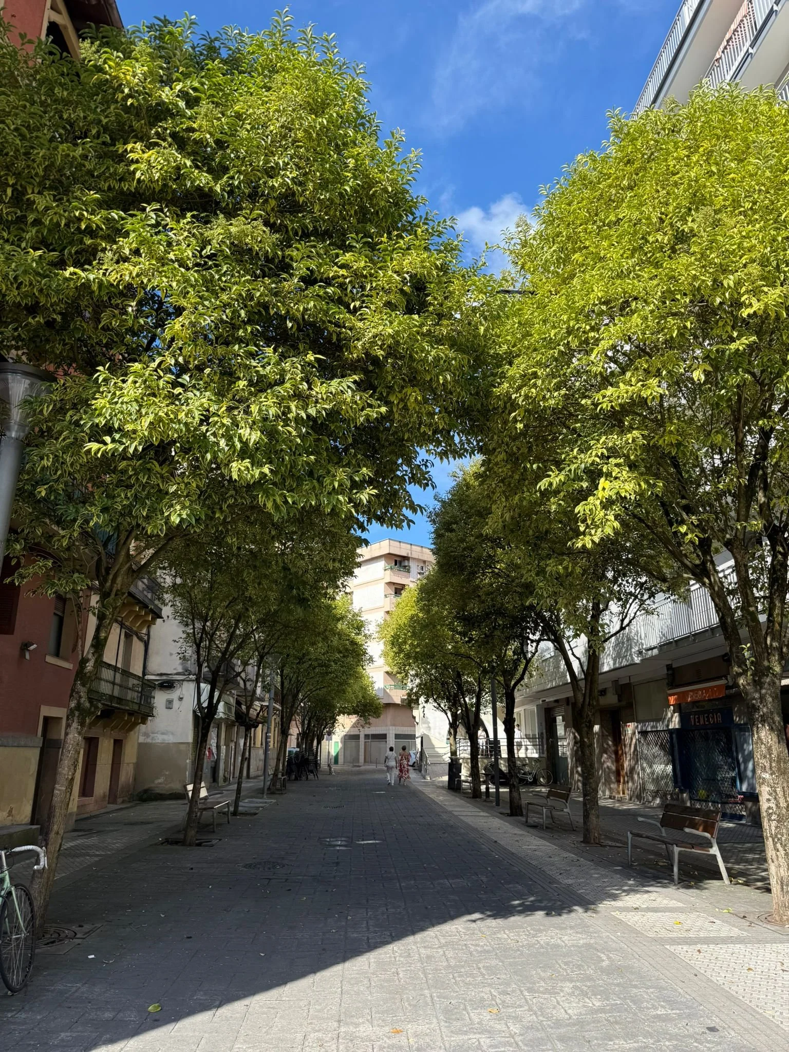 WhatsApp Image 2025-09-16 at 12.22.55 (2).jpeg