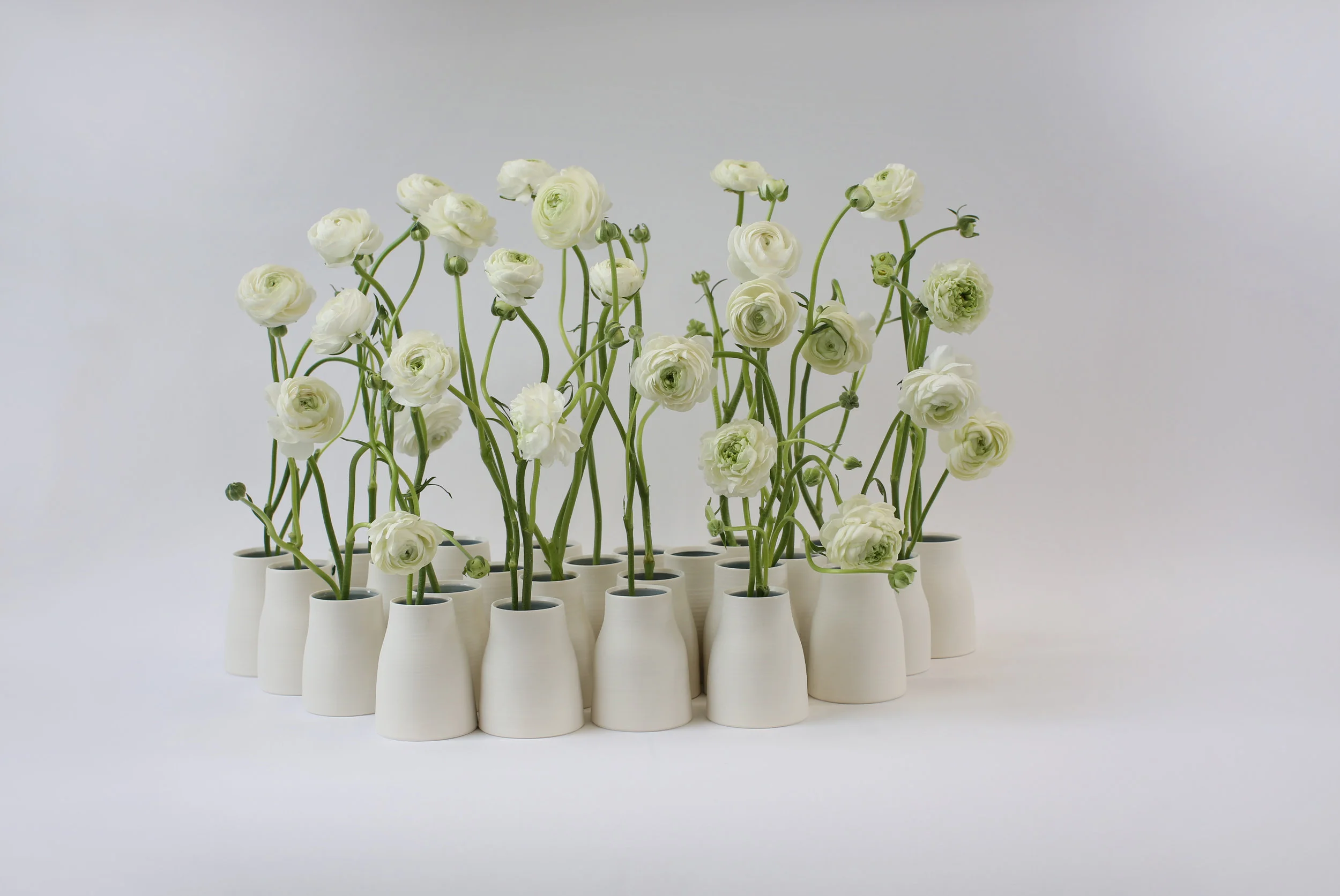 McQueens publicity shot of the Anniversary Vases with ranunculus flowers