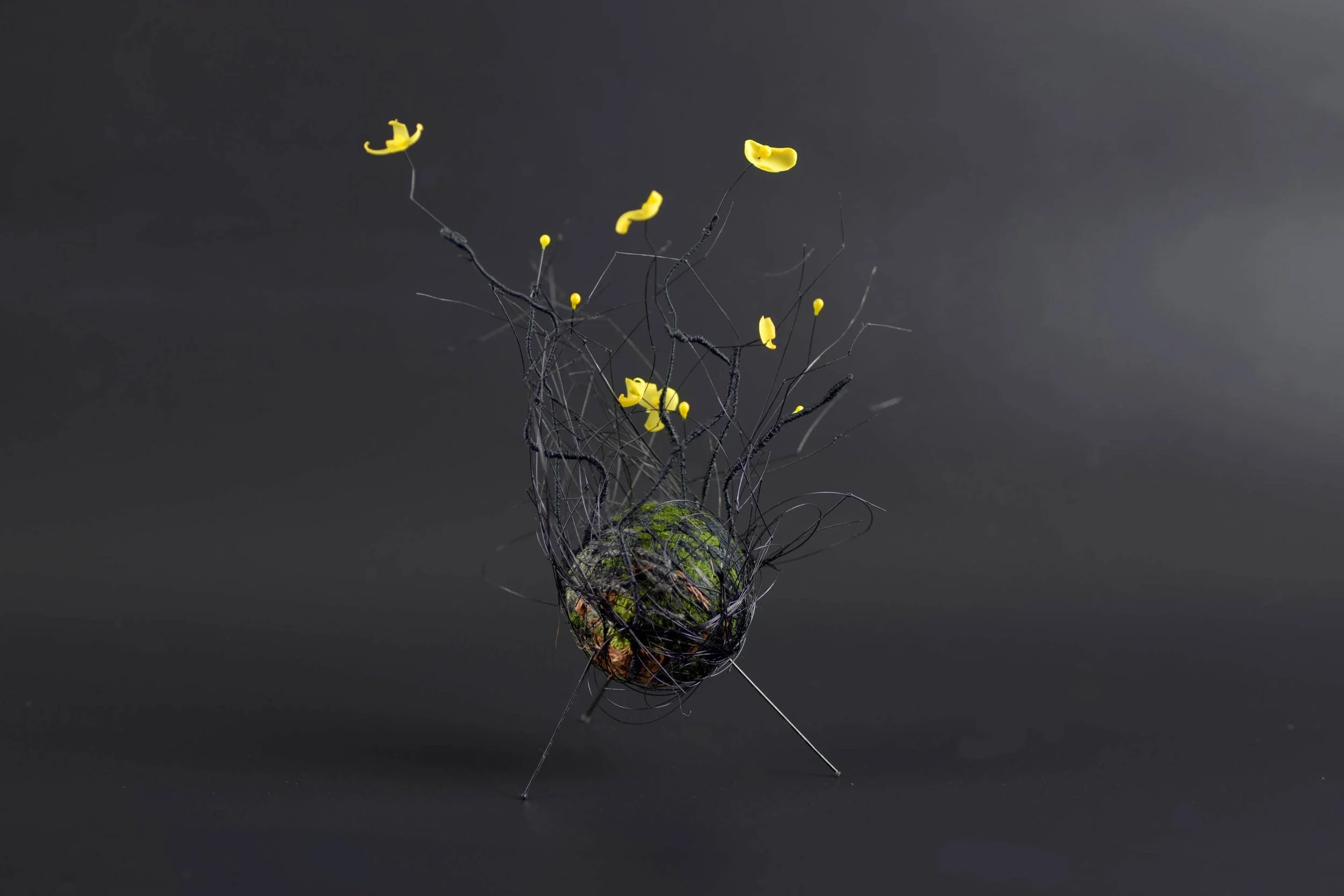 Wintersweet