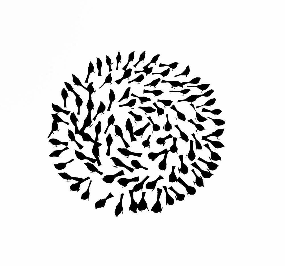 Flock Circle: Screen Print based on "Where have all the sparrows gone"