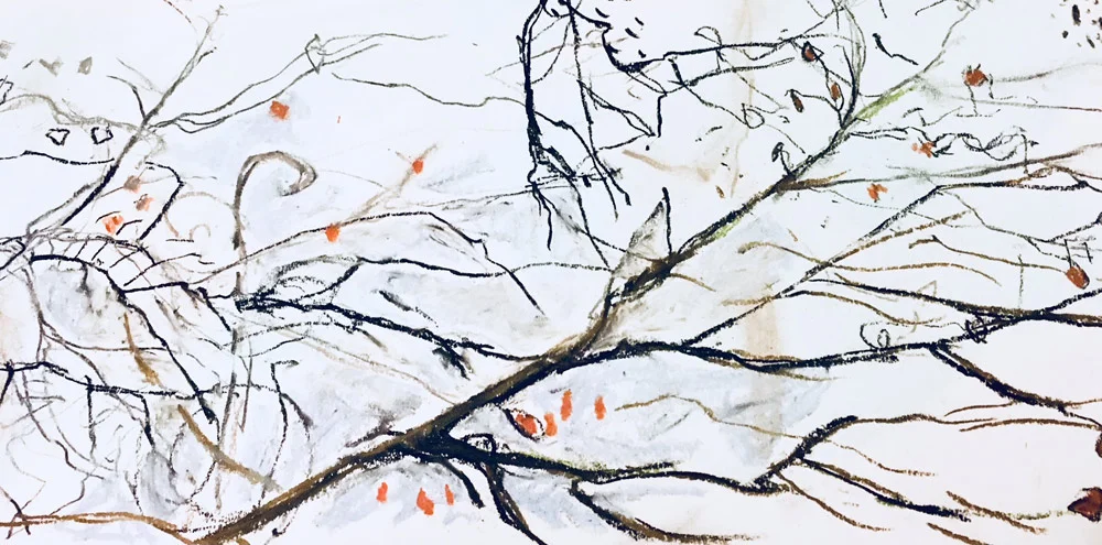 Tree Tops