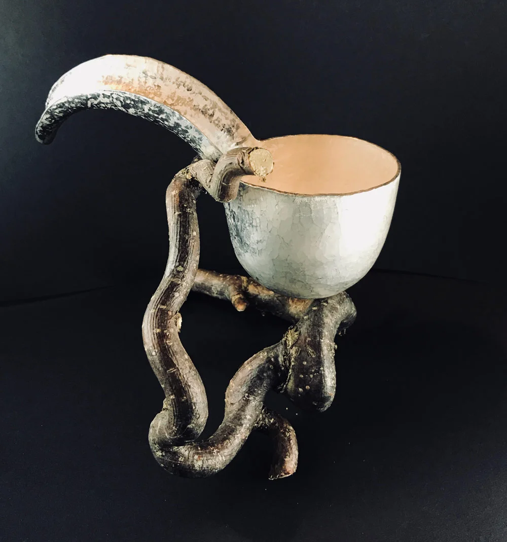 Contorta Cup