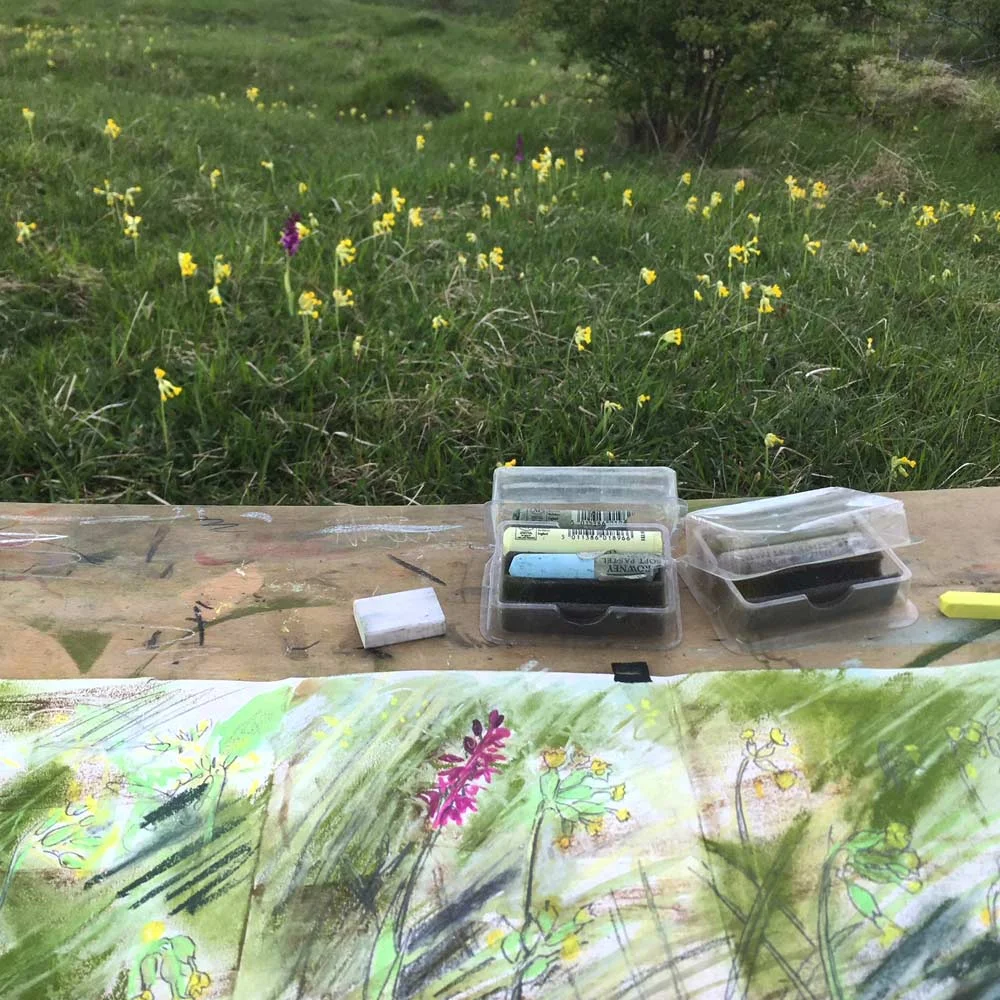 Early Pink Orchids at the Hills and Holes Barnack