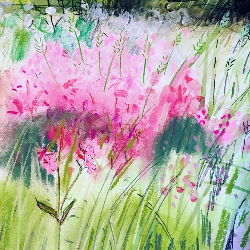 Detail from Campion Field Margin Sketch