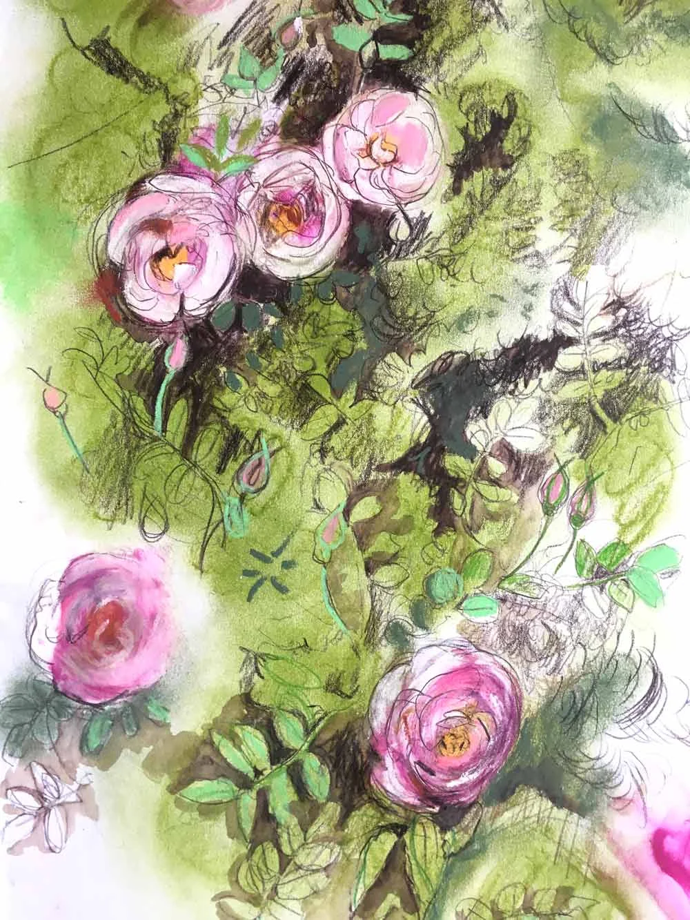 Wild Rose: Sketch Detail